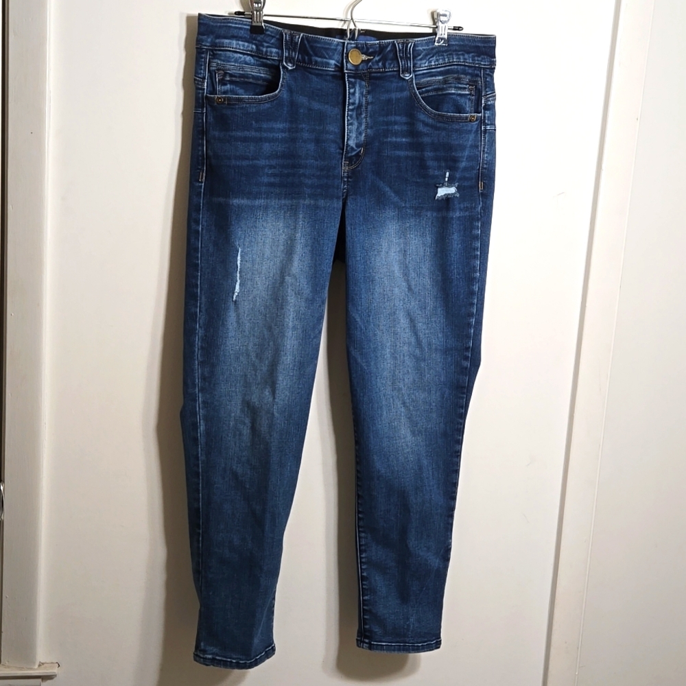 NWOT Democracy AB Solution Ankle Skimmer Jeans Distressed